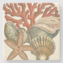 Pesquisar por coleção porta copos Natureza