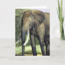 Pesquisar por arte do elefante cartoes Animal