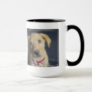 Pesquisar por labrador vermelho canecas Cão