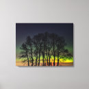 Pesquisar por fotografia da aurora boreal impressão de canvas Paisagem