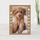 Pesquisar por andarilho cartoes Andarilho de cão