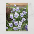 Pesquisar por violets cartoes postais Floral