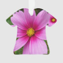 Pesquisar por cosmos ornamentos Flor
