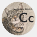 Pesquisar por pedagógico adesivos Ferramentas pedagógicas