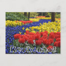 Pesquisar por nabos cartoes postais Flores