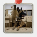 Pesquisar por natal tag ornamentos Dog tags