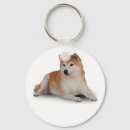 Pesquisar por inu do shiba chaveiros Animal