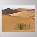 Pesquisar por duna pósteres pôsteres Marrocos