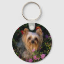 Pesquisar por yorkshire terrier chaveiros Cães