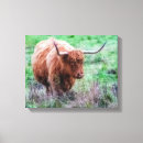 Pesquisar por vacas impressão de canvas Gado