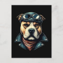 Pesquisar por biker cartoes postais Colheita