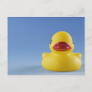 Pesquisar por pato de borracha amarelo cartoes postais Brinquedo