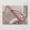 Pesquisar por ratos brancos cartoes postais Rato branco