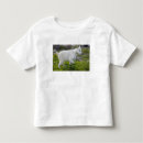 Pesquisar por camisas de logan roupas Flor silvestre