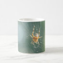 Pesquisar por da web de aranha canecas Teia