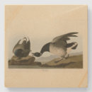 Pesquisar por bravo porta copos Pássaro