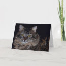 Pesquisar por gato marinheiro cartoes Casulo de marinheiro