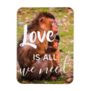 Pesquisar por precisam o amor Qualquer pessoa