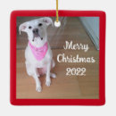 Pesquisar por rosa vermelha ornamentos Qualquer pessoa