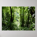 Pesquisar por rain pôsteres Tropical