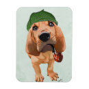 Pesquisar por caça imas Abóbora