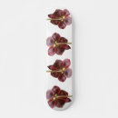 Pesquisar por plantas skates Flor