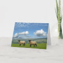 Pesquisar por cordeiro cartoes Desejos