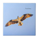 Pesquisar por osprey Presa