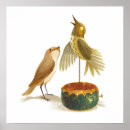 Pesquisar por rouxinol pôsteres Pássaro