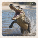 Pesquisar por crocodilo porta copos Réptil