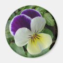 Pesquisar por perfeito imas Flor