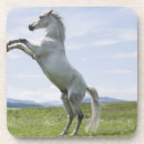Pesquisar por cavalo branco porta copos Animal