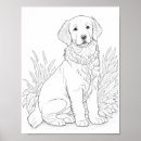 Pesquisar por retriever artes pôsteres Ilustração