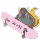 Pesquisar por patins adesivos Skate