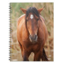 Pesquisar por mustang cadernos de notas Equino