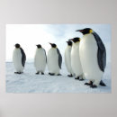 Pesquisar por march pôsteres Natureza