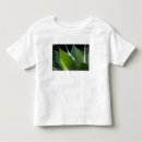 Pesquisar por madeira portugal camisetas Jardim