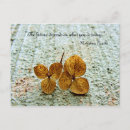 Pesquisar por gandhi cartoes Aspas