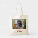 Pesquisar por lemur bolsas Animais selvagens