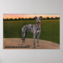 Pesquisar por do galgo pôsteres Florida