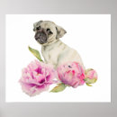 Pesquisar por pug pósteres pôsteres For her
