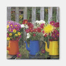 Pesquisar por portland imas Jardim