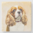 Pesquisar por cavalier porta copos Cavalier king charles spaniel