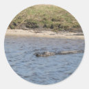 Pesquisar por jacaré artesanato material Animal