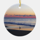 Pesquisar por praia bethany ornamentos Oceano