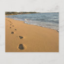 Pesquisar por surf cartoes postais Tropical