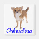 Pesquisar por chihuahua imas Chiwawa