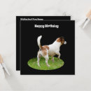 Pesquisar por cão de guarda cartoes Animal