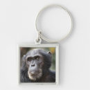 Pesquisar por chimpanzé chaveiros Animal