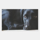 Pesquisar por labrador preto adesivos Retriever